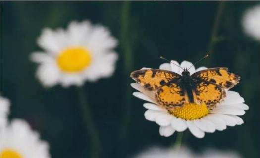 2020年在职教师工资到底涨不涨,月薪1万到10万的教师