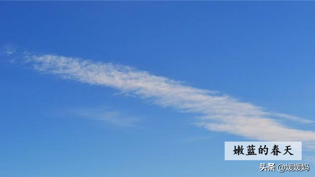 三年级下册第二课燕子的优美语句,燕子课文三年级下册同步练习答案