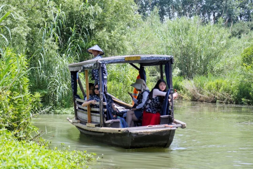 三月赏花一日游上海景点,本月上海赏花一日游最佳去处