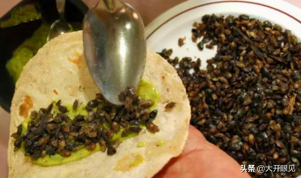 爱吃仙人球的国家,最喜欢吃仙人掌的国家是墨西哥