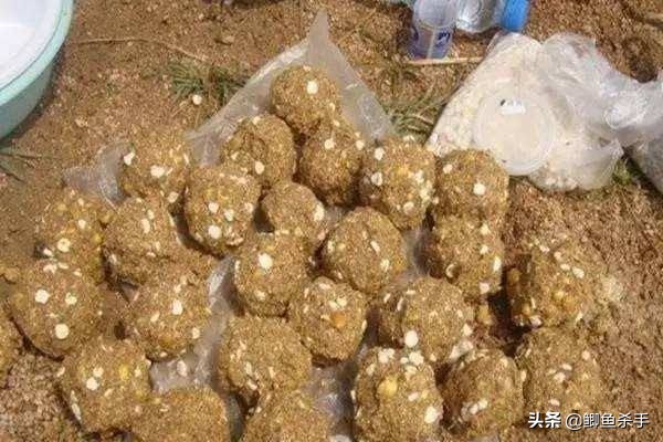 鲫鱼最佳商品饵料,现在鲫鱼爱吃什么饵料
