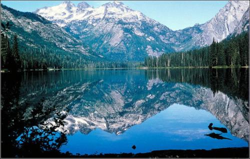 轻音乐班得瑞经典唯美纯音乐,班得瑞经典轻音乐安妮的仙境