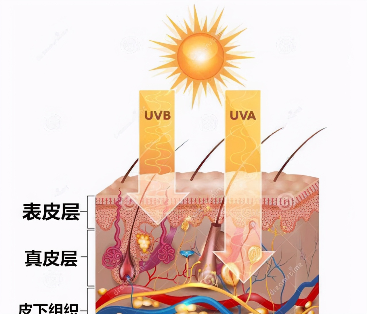 冬季选什么防晒,冬季需要的防晒指数