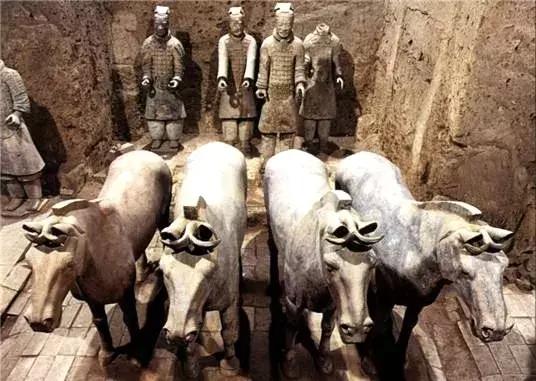 兵马俑文官俑解说,兵马俑解说员马导