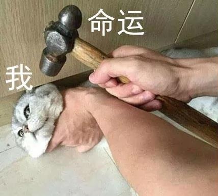 双12剁手也要抢的优惠,双十二快来剁手吧