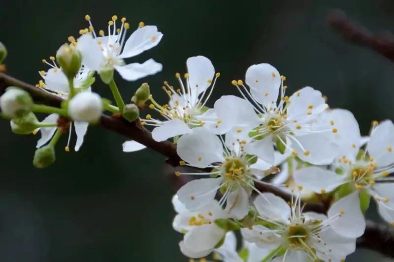 一段感情让你变得自卑又自负,因为自卑所以爱和伤害都是加倍的