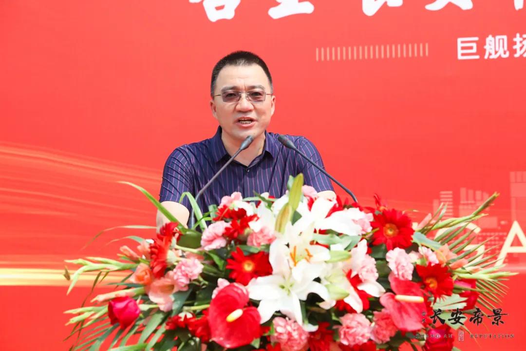 合生在北京开发的项目,北京市推进京津冀协同发展情况