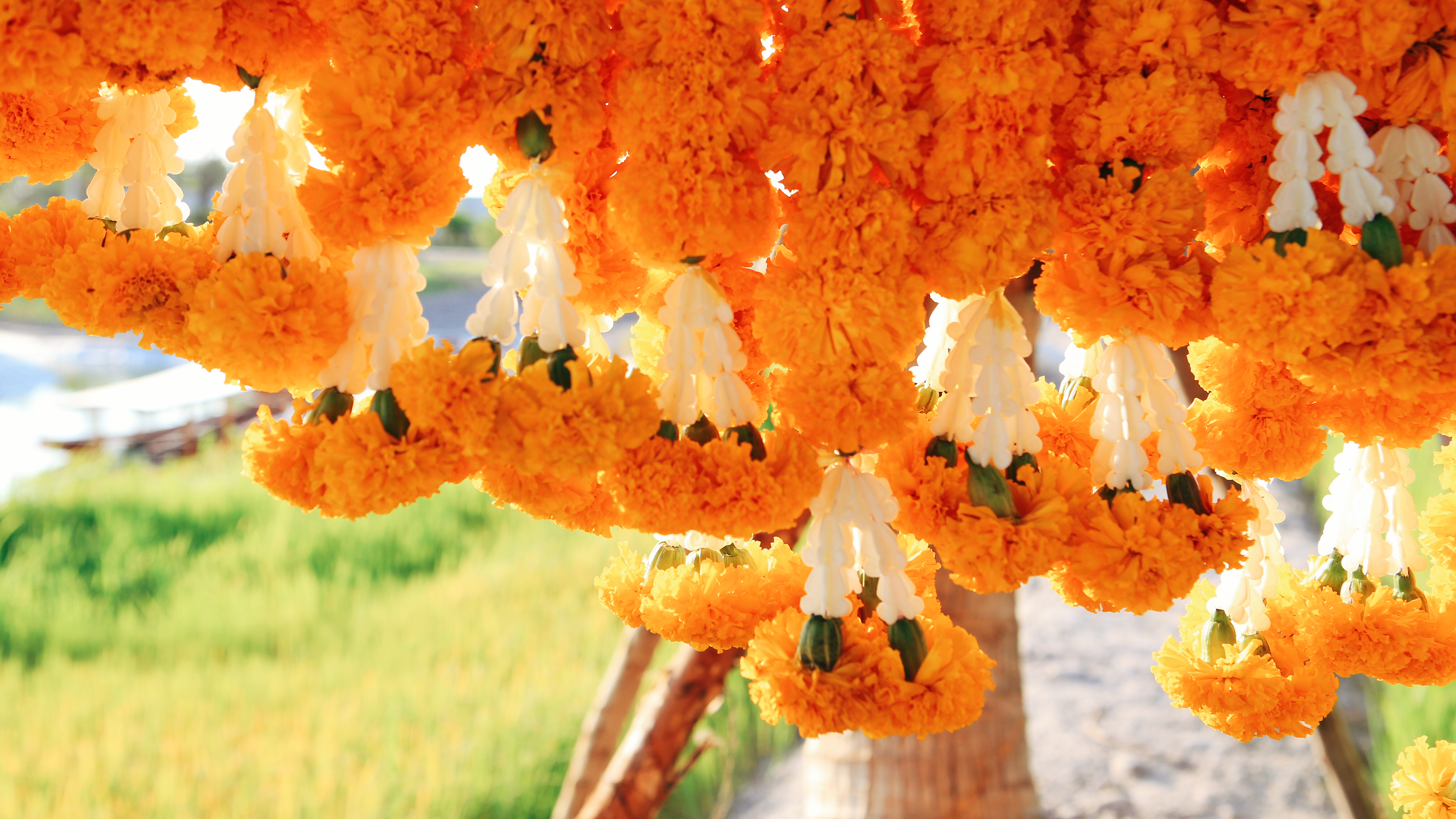 芭提雅的小姐姐,芭提雅漂亮小姐姐