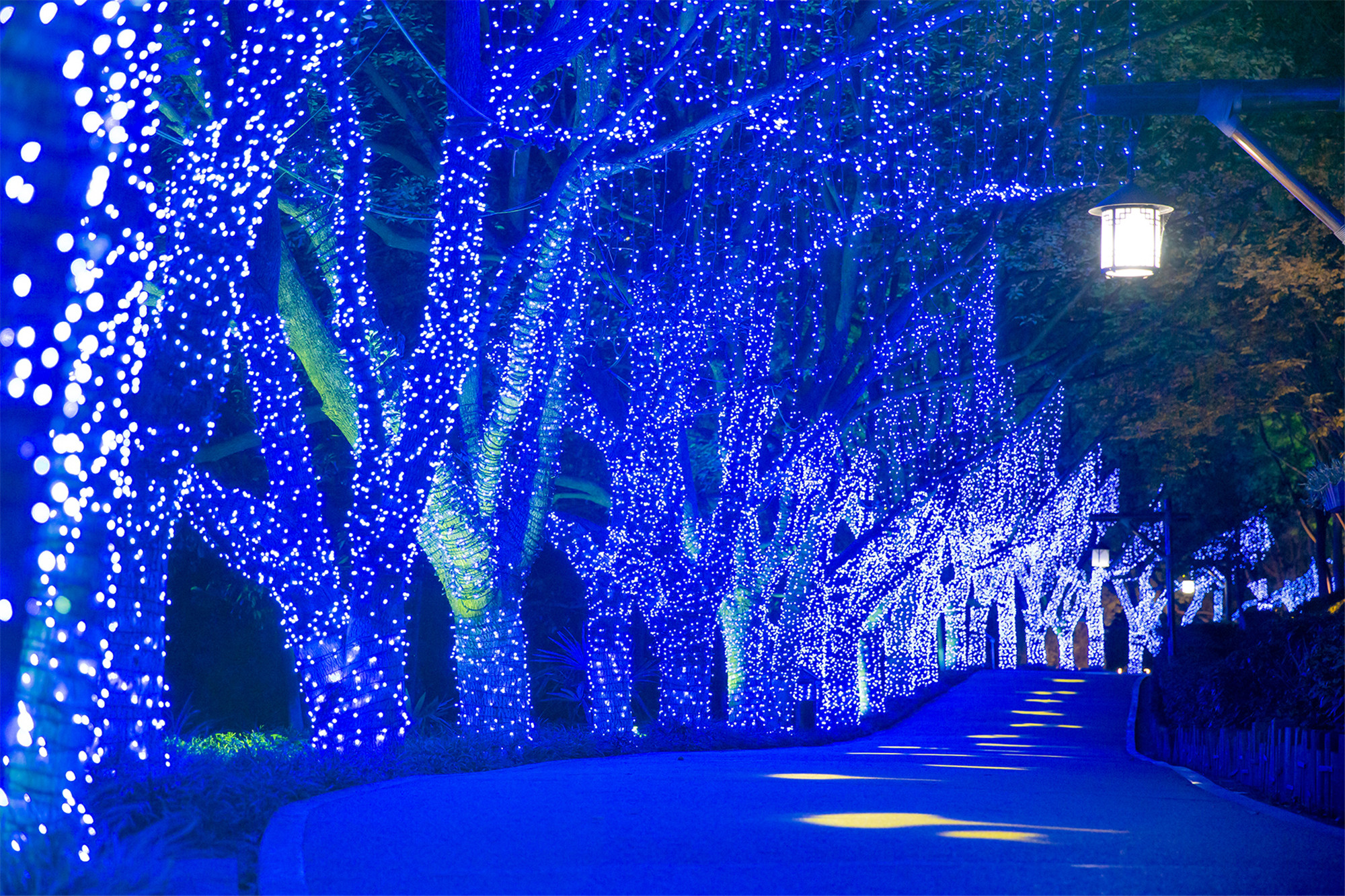 快手*党**福利！69元起玩转水世界，速撩