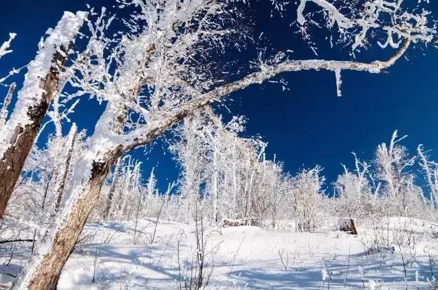 雾凇之美宛若仙境,连云港花果山雾凇美得像仙境