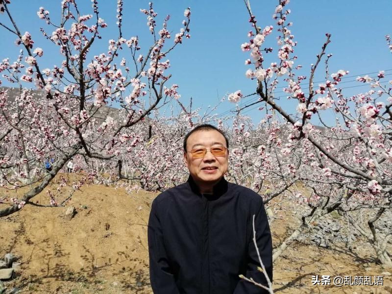 老邹平离不开的美食鸡蛋