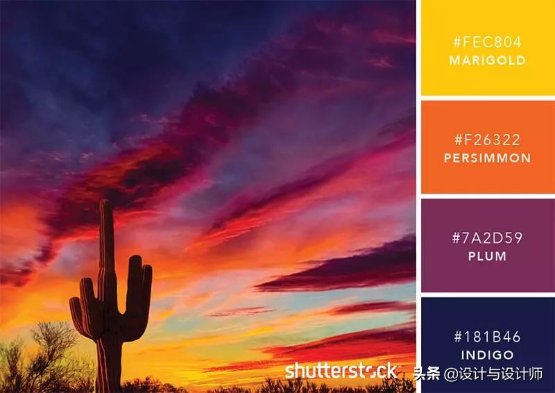 设计色彩总结200字左右,设计配色6种颜色