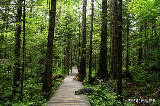 长白山西坡和北坡看天池区别,长白山北坡和西坡哪个能看全天池