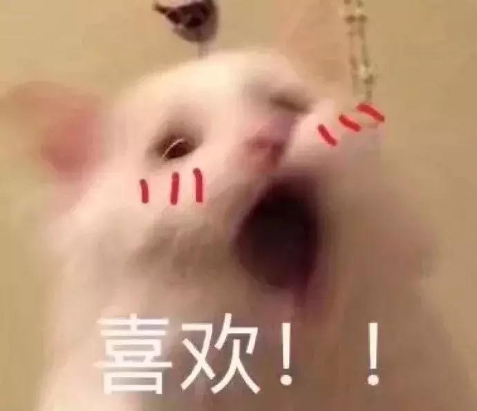 批发市场一年200万营业额赚多少钱,最大的假包市场在哪里