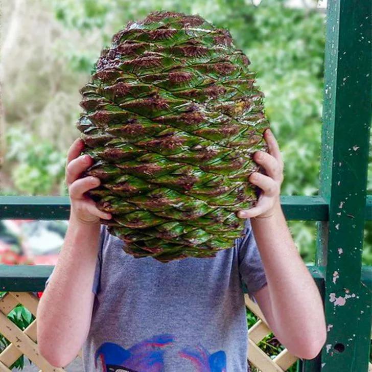 31张活久见的神奇自然照片,17张震撼人心的图片你看懂了几张