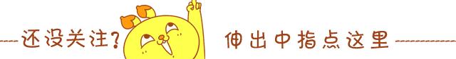 想要养肥猫咪应该给他吃啥,狗粮和肉怎么喂猫咪呢