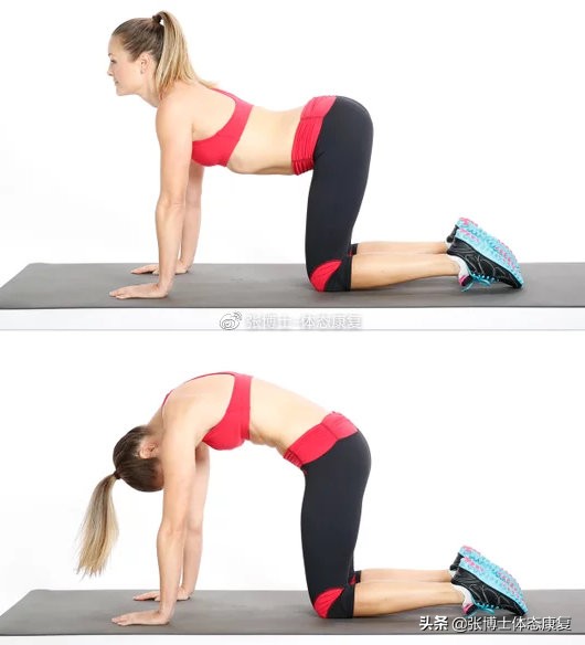 运动腰肌损伤怎么恢复,运动康复腰椎失稳