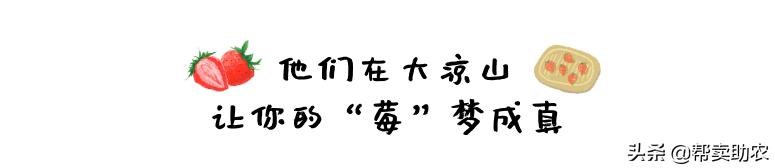 比车厘子还好的水果,比车厘子小的水果