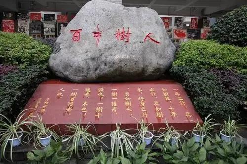 重庆树人小学分校有哪些,重庆树人小学毕业上哪些中学