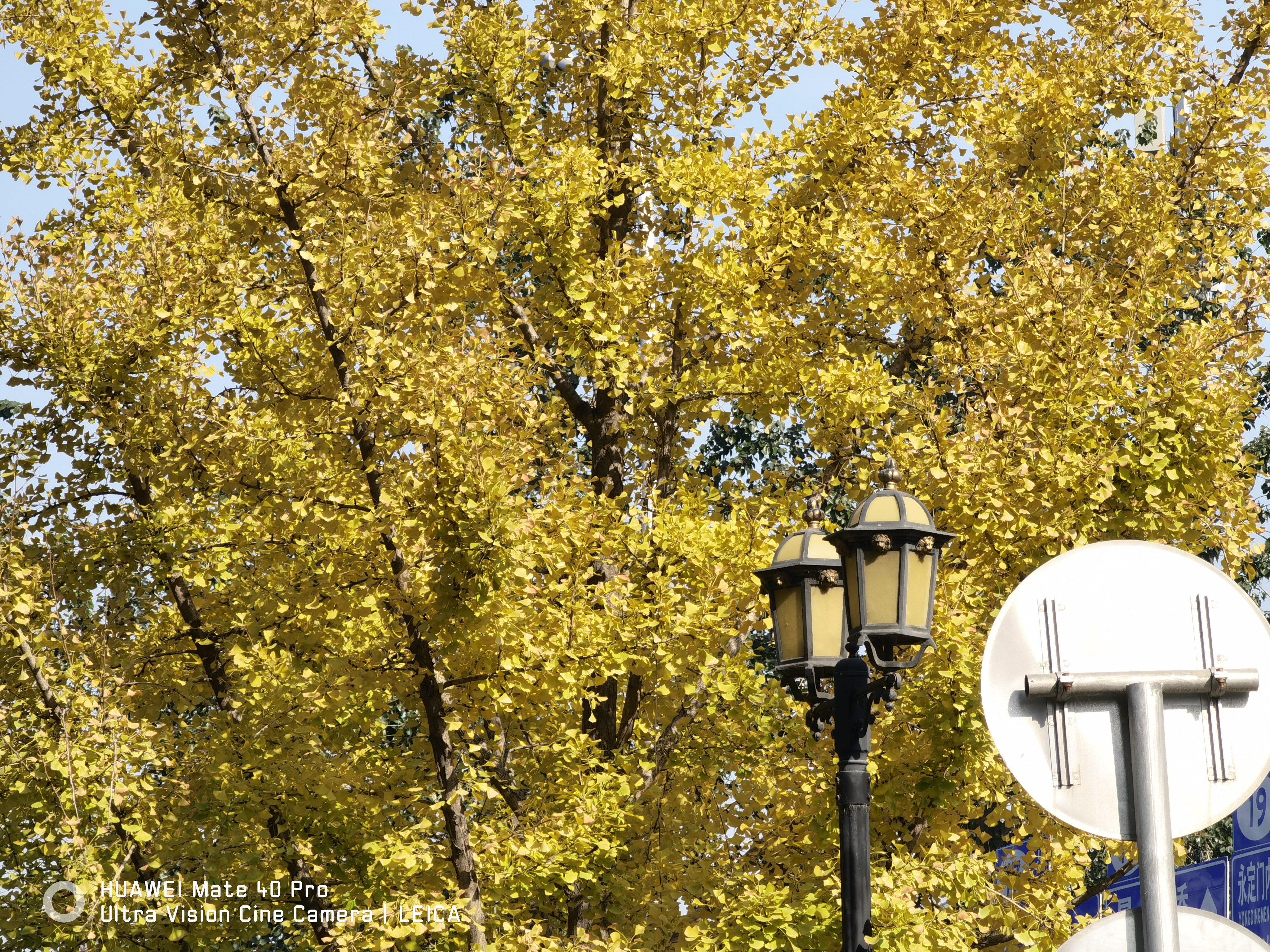 一起感受下华为mate40pro的压迫感,华为mate40pro秋日胡杨为什么贵