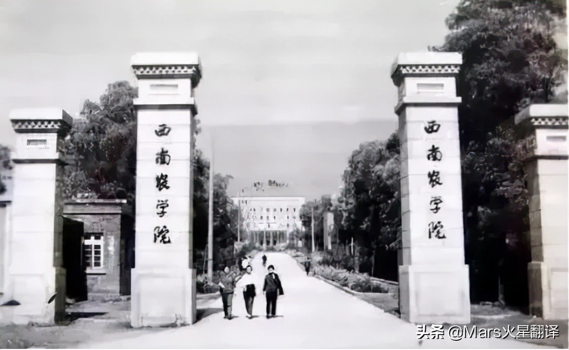 中国人能自由吃瓜，离不开这位“甜瓜女王”