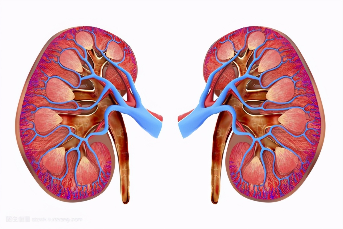 小孩肾炎肾病综合征用什么药好,儿童肾病好治还是成年人肾病好治