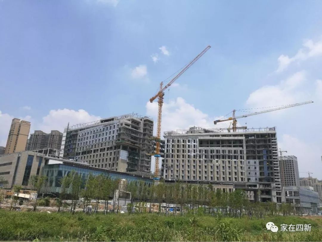 武汉四新宜居楼盘,四新最好的地段