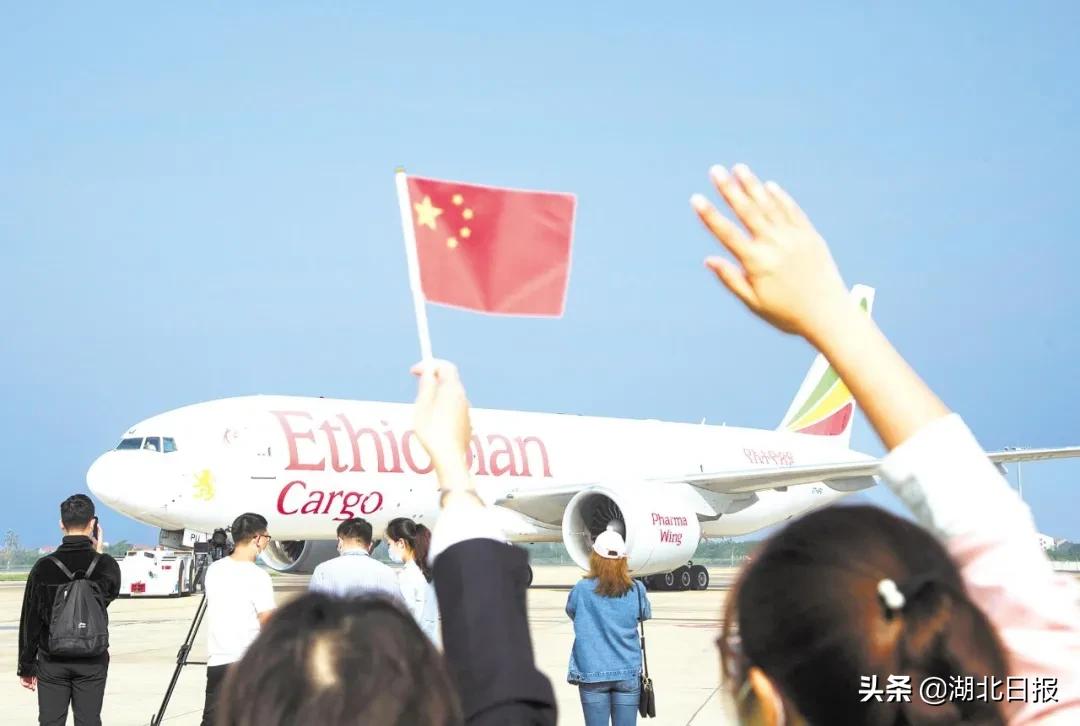 长文最新更新视频,重磅文章最新