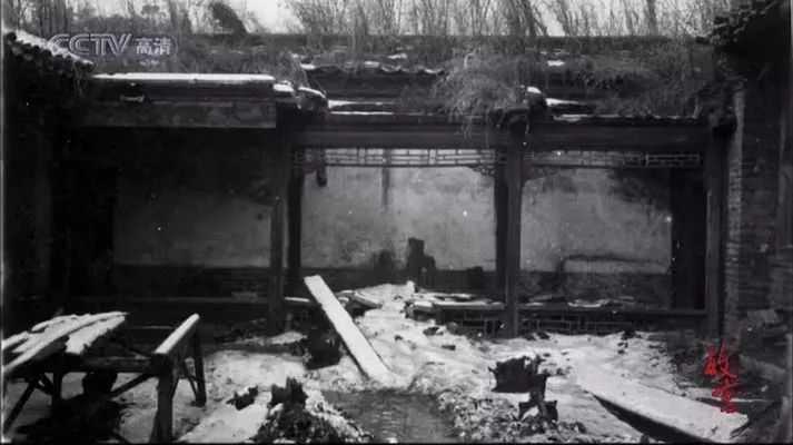 艺术爱好者必看10部纪录片,六部东方极致美学的纪录片