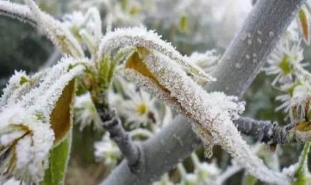 瀵掓皵渚佃韬綋,瀵掓皵鍏ヤ镜浼氬鍔犺韩浣撴箍姘斿悧