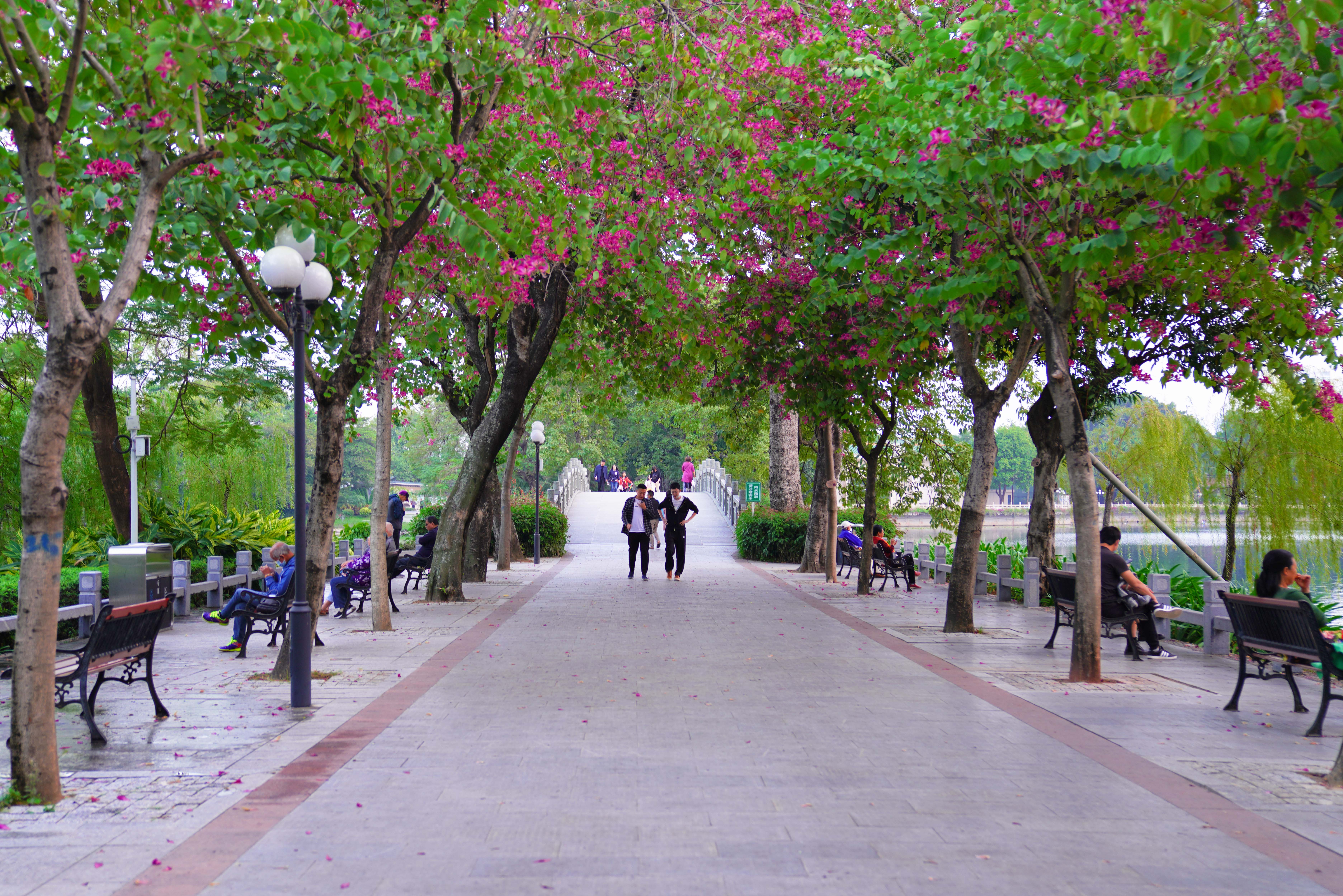 皓影郊游,海洋湖泊周末约会