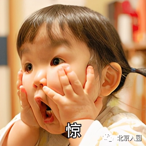 北京儿童室内动物园,占地7000平幼儿园