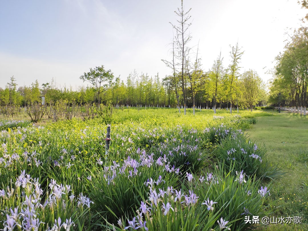 石家庄有个天然氧吧,石家庄天然氧吧旅游景点