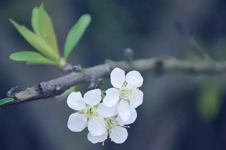 开怀一笑清除烦恼,开怀一笑无烦恼完整版