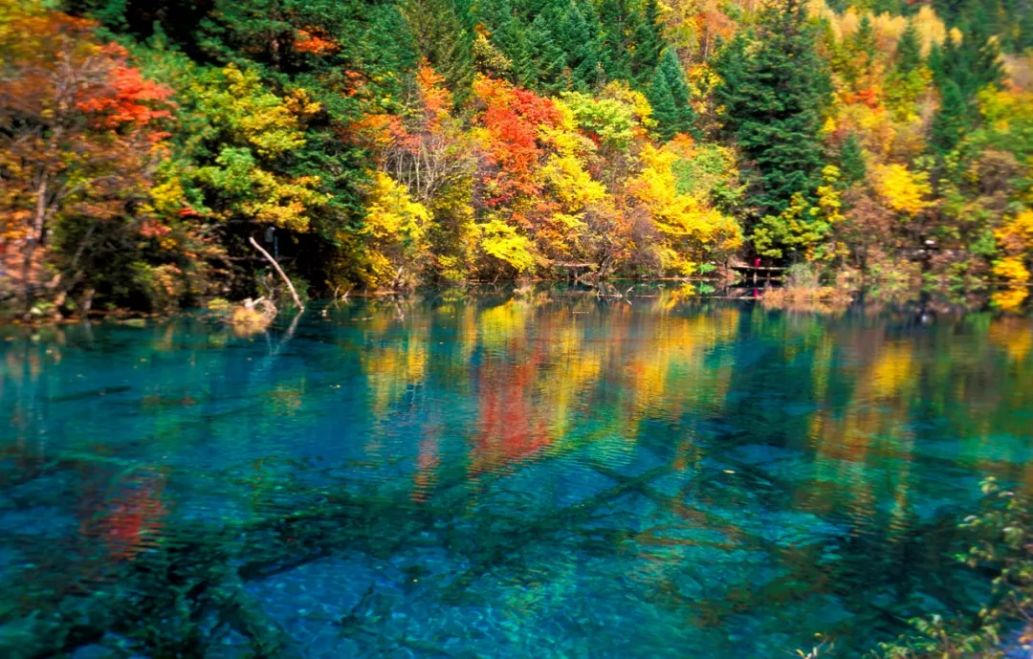 九寨沟景色恢复了吗,九寨沟震后重生