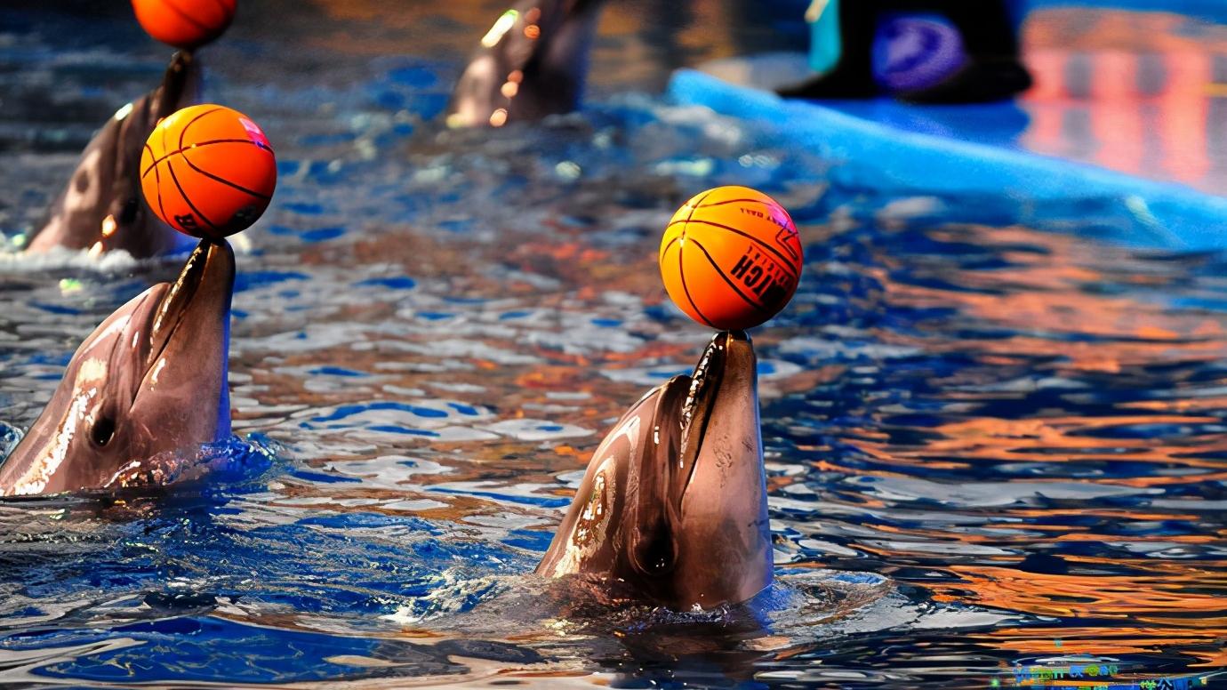 辽宁省大连市都有什么区,辽宁省大连市几个区