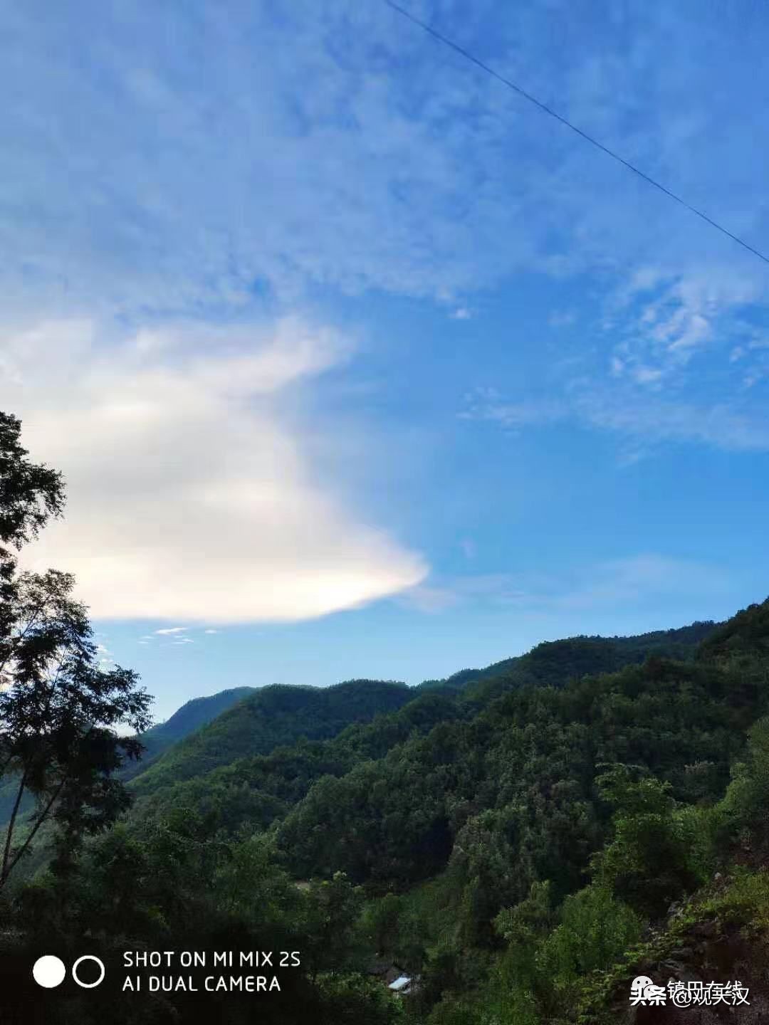 镇巴云雾山风景区,镇巴木竹林风景区
