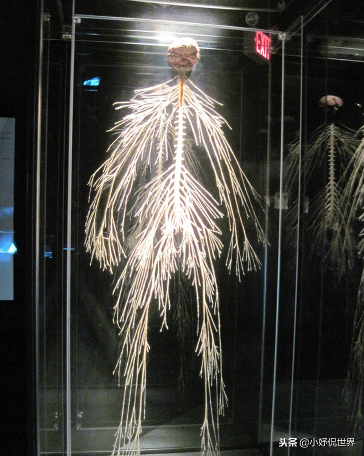 教科书照片与现实照片,教科书图片里的人