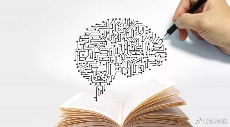 左曦为什么那么厉害,左曦