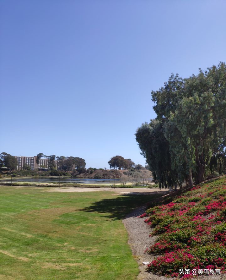 美国留学签证拒绝还能申请旅游吗,美国留学签证懂些技巧有必要吗