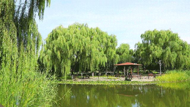 北京人少景美赏秋的公园,北京赏秋中山公园