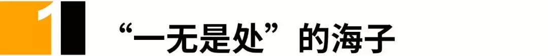 海子为什么自尽,海子最后怎么样了