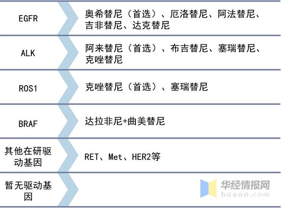 中国非小细胞肺癌药物行业发展现状及趋势分析「图」