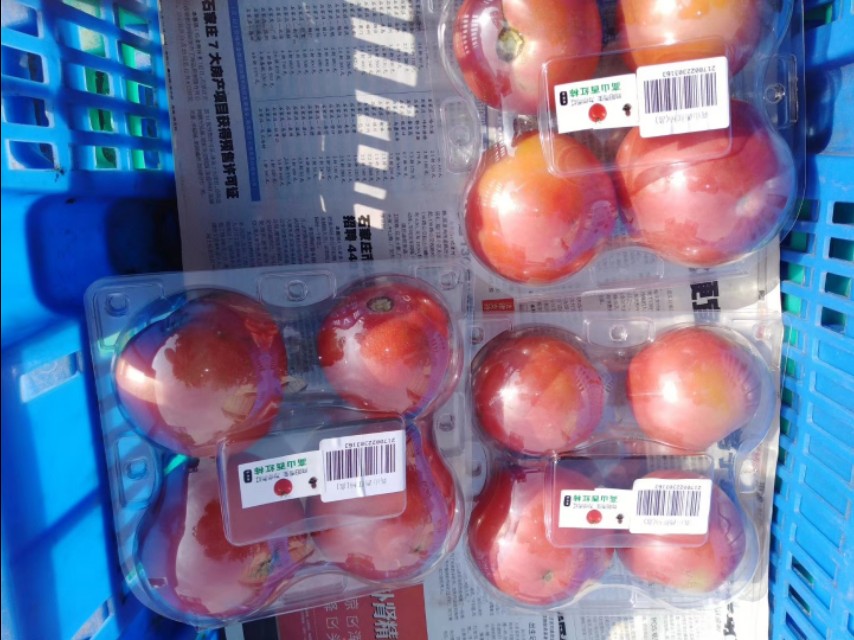 大可老师合集,大可老师讲座