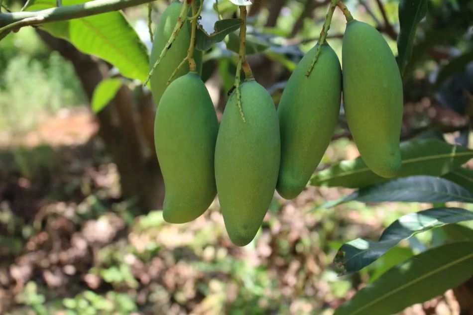 广西太婆螺蛳粉,广西那么多粉只有螺蛳粉火了