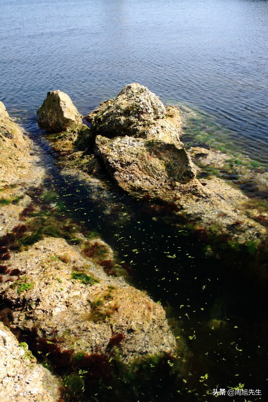大连滨海路的美景之旅,大连海滨路旅游攻略
