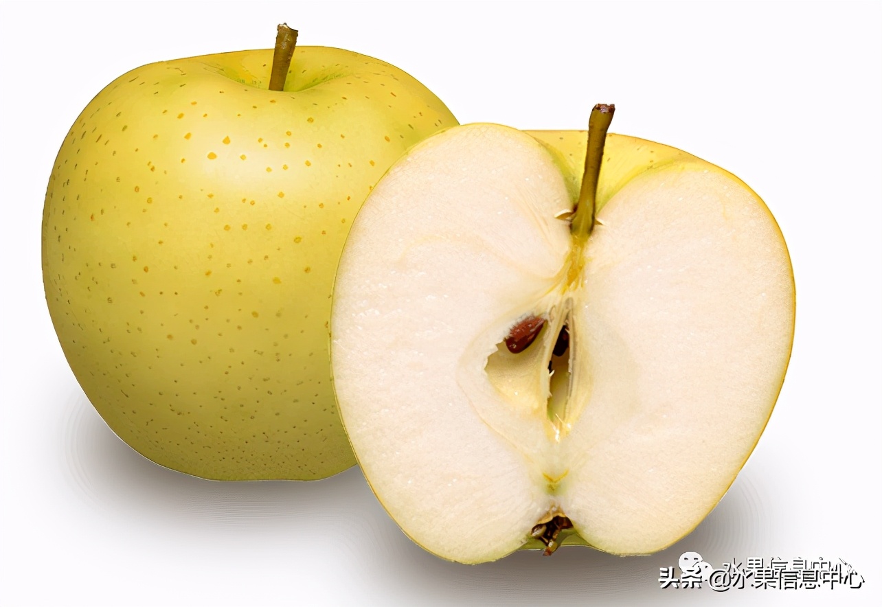 为什么日本苹果质量比中国的好,日本青森苹果种植