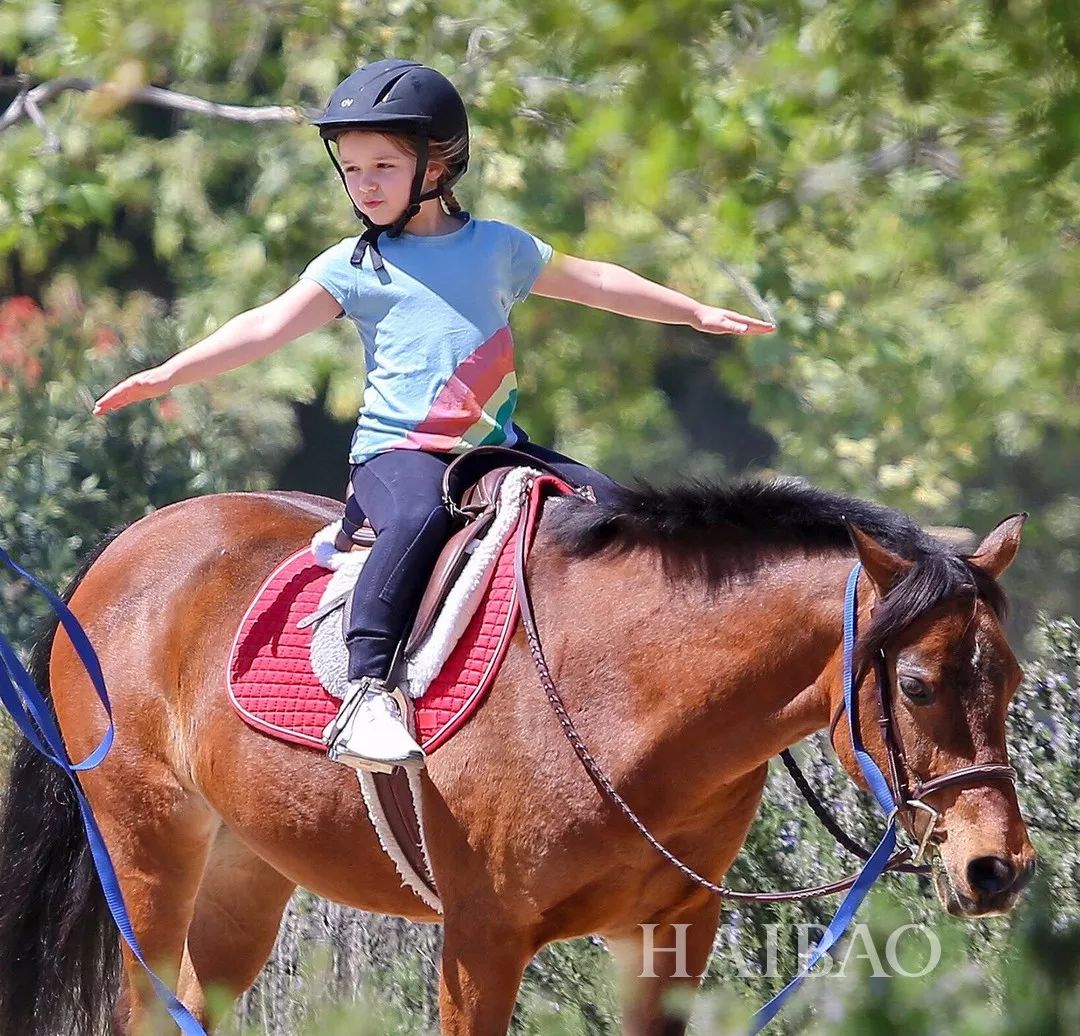 小七在学校里过生日,小七去贵族学校上学