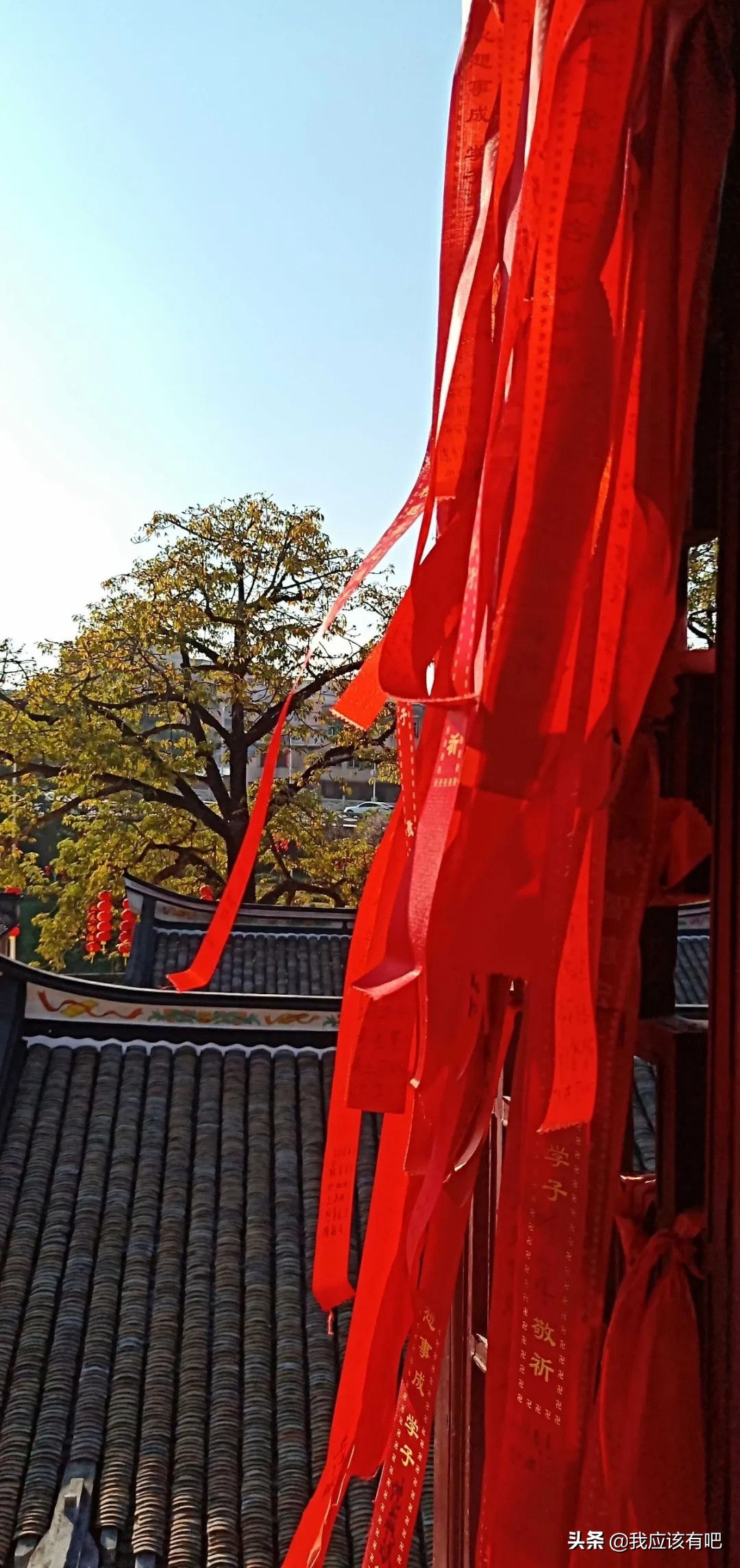 广东省梅县东山中学,广东梅县东山中学本科率