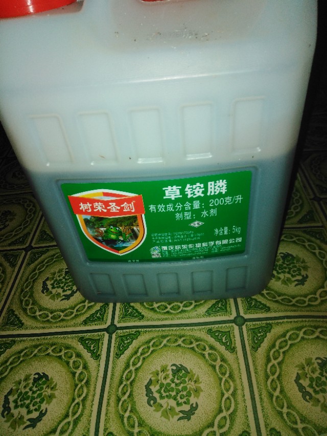 如何有效防止竹子根蔓延生长,庭院如何防止竹根蔓延